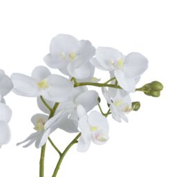 Love Lace White Orchid Artificial Flower In Glass Pot - thumbnail 3