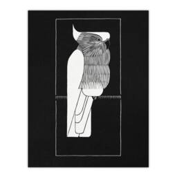 Artery8 Samuel J De Mesquita Framed Wall Art Sulphur Crested Cockatoo Parrot in Black - Size: A4 - thumbnail 3