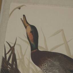 Lemon Pavilion Furniture and Decor Flora & Fauna Duck on Linen in Beaded Frame - L2 x W40 x H50 cm in Brown - thumbnail 2