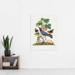 "Artery8 Warbler Bird & Red Admiral Butterfly Bolton Wall Art Poster Print in White - Size: W24"" x H32""" - thumbnail 4