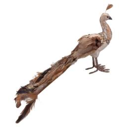 VFM e-Store Christmas Peacock Decoration 21cm x 14cm Gold X 1 - Size: 21 cm x 14 cm - thumbnail 1