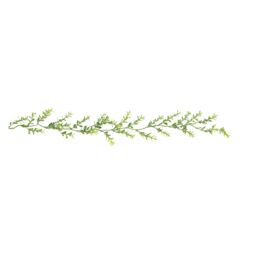 Melody Maison Green Frosted Foliage Christmas Garland - 160cm (1.6m / 62.9') - thumbnail 1