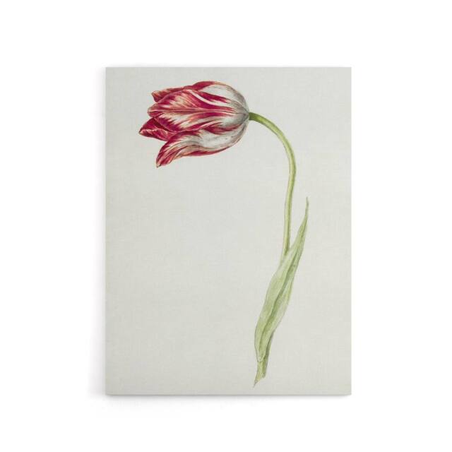 "Artery8 Pink Tulip Flower Drawing Jean Bernard Vintage Canvas Wall Art in White - Size: W18"" x H24""" - image 1