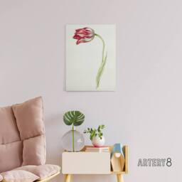 "Artery8 Pink Tulip Flower Drawing Jean Bernard Vintage Canvas Wall Art in White - Size: W18"" x H24""" - thumbnail 3