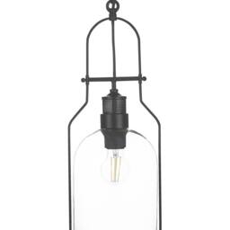 Wyld and Coco Pendant Lamp - Black Iron Frame 166 cm Cord Clear Glass Shade - thumbnail 2