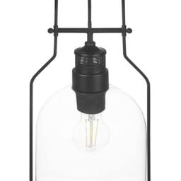 Wyld and Coco Pendant Lamp - Black Iron Frame 166 cm Cord Clear Glass Shade - thumbnail 6