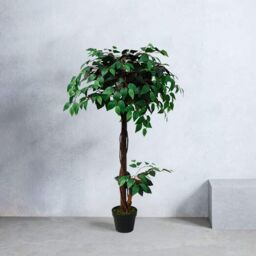 Tradala Trees Lush Artificial Tree Ficus with Real Wood Trunk in Dark Green - Size: 4ft - thumbnail 3