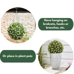 Marco Paul Artificial Topiary Ball Hanging Fake Flowers White Roses in Bottle Green - thumbnail 6