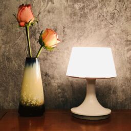 mysmartbuy White Table Lamp with Remote - USB Rechargeable Portable Cordless Light with 10 Brightness Modes - H17.5 x 13.5cm Diameter - thumbnail 2