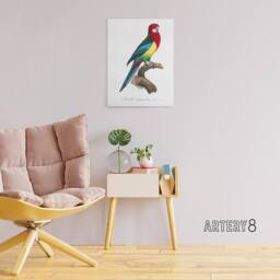"Artery8 The Eastern Rosella Parrot Levaillant Canvas Wall Art Print in White - Size: W12"" x H16""" - thumbnail 3