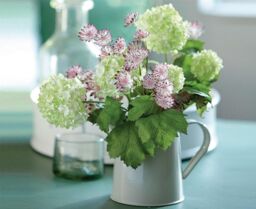 Bloom Artificial Single Cream Guelder Rose Branch Stem - Faux Silk Flower Indoor Home Floral Decoration - Measures L60cm - thumbnail 4
