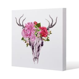 Benjamin Tate Design Deer animal skull with flowers & feathers (Canvas Print) / 61 x 61 x 4cm in Natural - Size: 61 x 61 x 4 cm - thumbnail 1