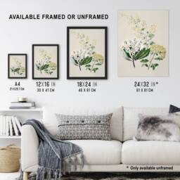 "Artery8 New Zealand Three Senecio Flower Species Featon Wall Art Poster Print in Beige - Size: W12"" x H16""" - thumbnail 3