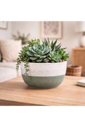 KDMD Hortus Green & White Bordeaux Stoneware Pot 14.5cm H x 25cm Dia - thumbnail 5