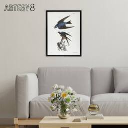 "Artery8 James De Kay White Bellied & Barn Swallow Framed Canvas Art Print - Size: W12"" x H16""" - thumbnail 3