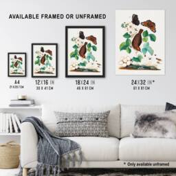 "Artery8 House Wren Butterflies Beetle & Spider Bolton Framed Wall Art Print - Size: W12"" x H16""" - thumbnail 3