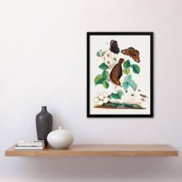 "Artery8 House Wren Butterflies Beetle & Spider Bolton Framed Wall Art Print - Size: W12"" x H16""" - thumbnail 4