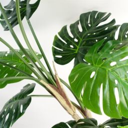 Leaf Artificial Monstera Plant 150cm Luxury Cheese Plant Tall Gold Metal Planter in Green - thumbnail 8