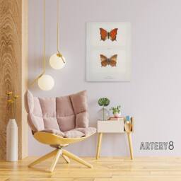 "Artery8 Tropical Leafwing Butterfly Sherman Denton Canvas Wall Art Print in White - Size: W18"" x H24""" - thumbnail 3