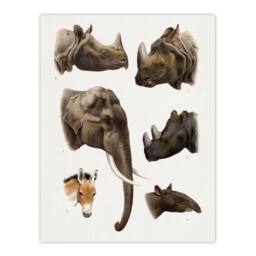 Artery8 Animals Vintage Illustration Lydekker Framed Wall Art Print in White - Size: A3 - thumbnail 3