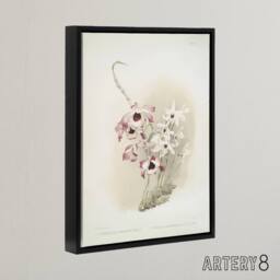 "Artery8 Frederick Sander Dendrobium Venus & Cassiope Orchid Framed Canvas Art - Size: W12"" x H16""" - thumbnail 2