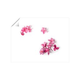 "Warren Reed - Designer Pink Frangipani Flowers Unframed Art Print - Size: W12"" x H16""" - thumbnail 2