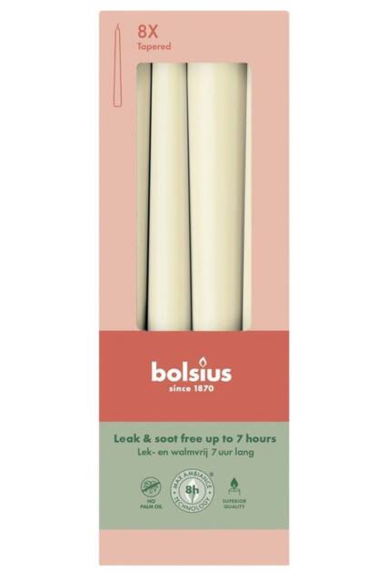 KDMD Soft Pearl Bolsius Tapered Candles 245 x 24mm in Cream - image 1