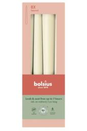 KDMD Soft Pearl Bolsius Tapered Candles 245 x 24mm in Cream - thumbnail 2