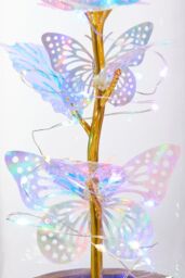 Living and Home Two Butterfly Rose in Glass Dome with Wooden Base & LED Lighting for Gifts - thumbnail 6