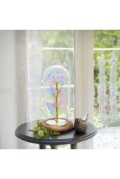 Living and Home Two Butterfly Rose in Glass Dome with Wooden Base & LED Lighting for Gifts - thumbnail 3