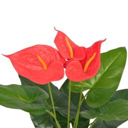 Berkfield Home Artificial Anthurium Plant with Pot 45 cm Red & Yellow - thumbnail 2