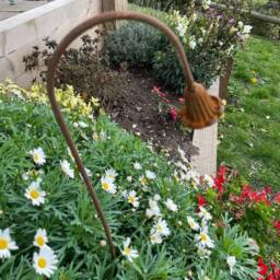 Poppyforge Bluebell Garden Art (Pack of 3) - Steel - W6 x H100 cm in Brown - thumbnail 4