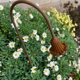 Poppyforge Bluebell Garden Art (Pack of 3) - Steel - W6 x H100 cm in Brown - thumbnail 5