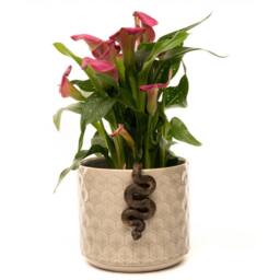 Jardinopia Antique Bronze Coloured Boa Constrictor Pot Buddy Plant Pot Hanger - thumbnail 6