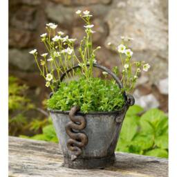 Jardinopia Antique Bronze Coloured Boa Constrictor Pot Buddy Plant Pot Hanger - thumbnail 2