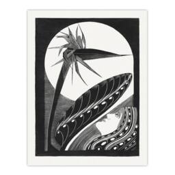 Artery8 Samuel J De Mesquita Framed Wall Art Strelitzia Overblown & Full Moon in White - Size: A4 - thumbnail 3