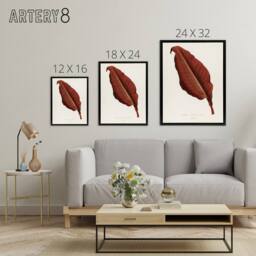 "Artery8 Canna Botany Red Leaf Shirley Hibberd Vintage Framed Canvas Wall Art in White - Size: W12"" x H16""" - thumbnail 4