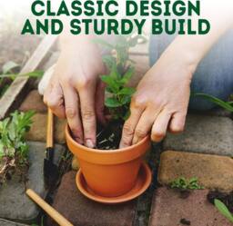 Green Thumbz 10cm Terracotta Plant Pots with Saucer for Flowers, Herbs & Plants - Pack of 6 - Size: Medium - thumbnail 7