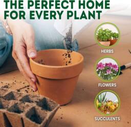 Green Thumbz 10cm Terracotta Plant Pots with Saucer for Flowers, Herbs & Plants - Pack of 6 - Size: Medium - thumbnail 5