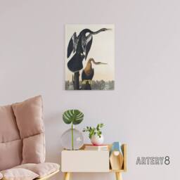 "Artery8 Black Bellied Darter Bird Audubon Nature Canvas Wall Art in White - Size: W18"" x H24""" - thumbnail 3