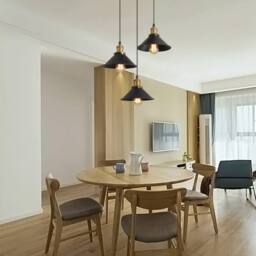 Pheashine Industrial Pendant Light, Lamp with 1.2m Adjustable Cord, E27 Base in Black - thumbnail 7