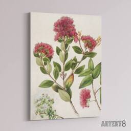 "Artery8 New Zealand Rata Flowers Illustration Featon Canvas Wall Art Print in Beige - Size: W18"" x H24""" - thumbnail 2