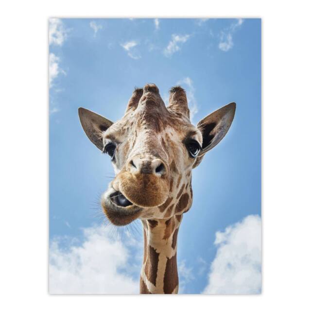 "Artery8 Funny up close look at a giraffe Highsmith Wall Art Poster Print in Blue - Size: W12"" x H16""" - image 1