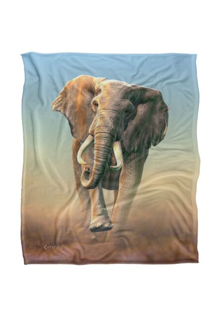 JQ Licensing Royce Mcclure Charging Elephant Silky Touch Super Soft Throw Blanket 152 X 127 cm in White - image 1