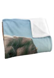 JQ Licensing Royce Mcclure Charging Elephant Silky Touch Super Soft Throw Blanket 152 X 127 cm in White - thumbnail 3