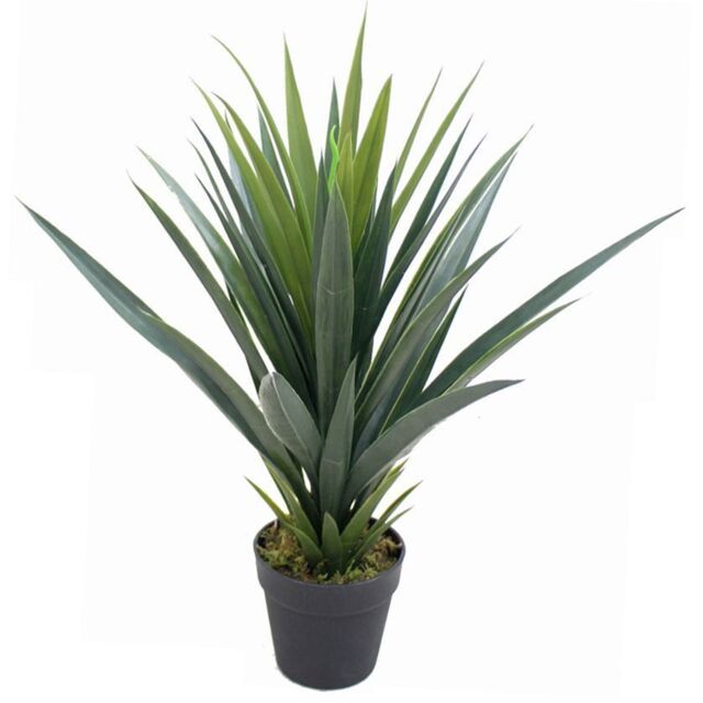 Leaf 60cm Artificial Tropical Agave Succulent Yukka Style Green Plant in White - image 1