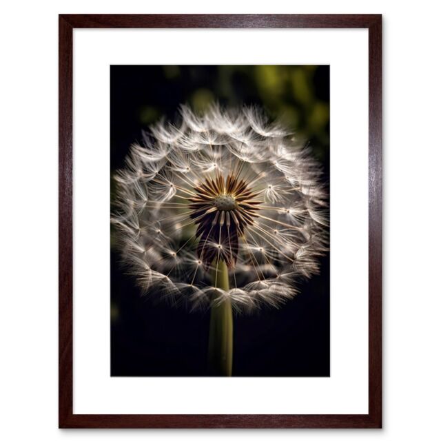 "Artery8 Wall Art Print Dandelion Flower Pappus Macro Photograph Dark Close Up Detail Artwork Framed 9X7 Inch in Brown - Size: W7"" x H9""" - image 1