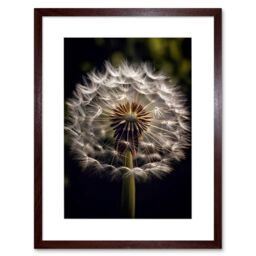 "Artery8 Wall Art Print Dandelion Flower Pappus Macro Photograph Dark Close Up Detail Artwork Framed 9X7 Inch in Brown - Size: W7"" x H9""" - thumbnail 1