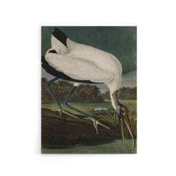 "Artery8 Audubon Birds Wood Ibis Painting Canvas Wall Art Print - Size: W18"" x H24""" - thumbnail 1
