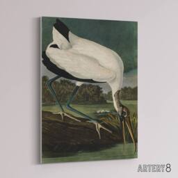 "Artery8 Audubon Birds Wood Ibis Painting Canvas Wall Art Print - Size: W18"" x H24""" - thumbnail 2
